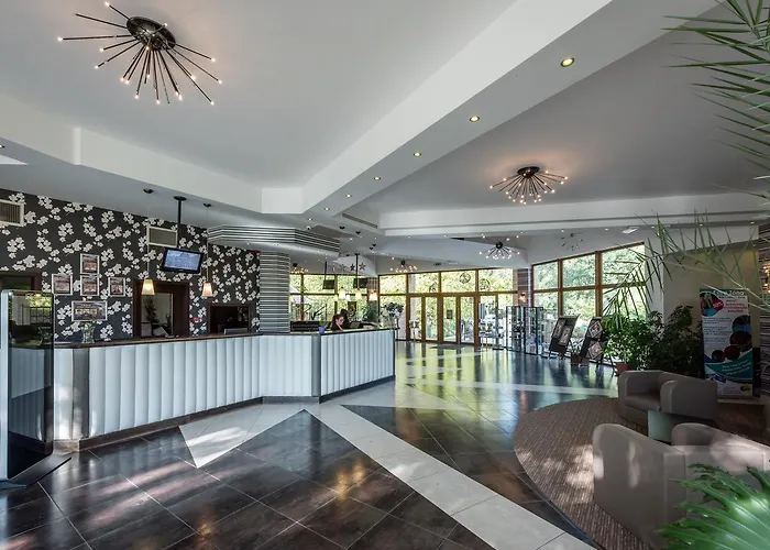 Session 라츠케브